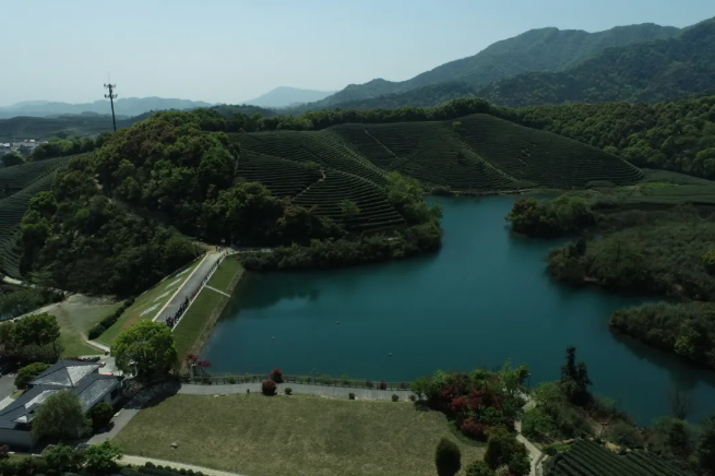 建設智慧生態(tài)茶園，托普云農(nóng)為西湖龍井茶“保駕護航”